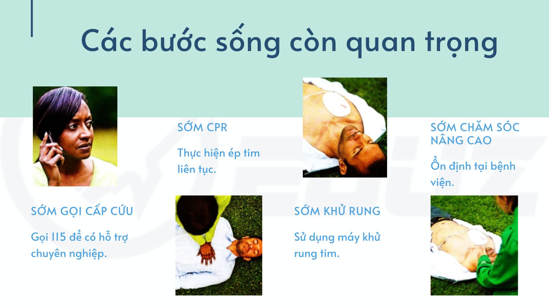 cac-buoc-song-con-quan-trong